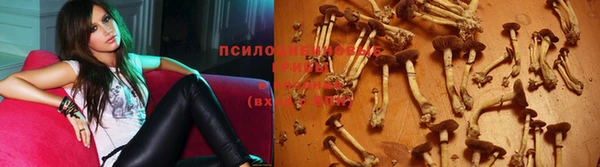 a pvp Беслан