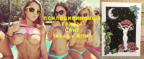 spice Шадринск