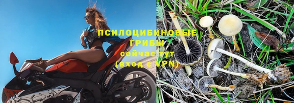 a pvp Беслан