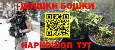 стафф Гатчина