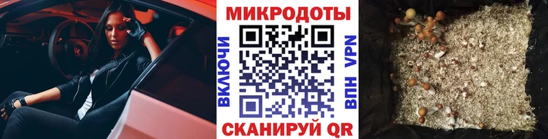 мориарти состав  где можно купить наркотик  Выборг  Псилоцибиновые грибы Psilocybe  ОМГ ОМГ вход 