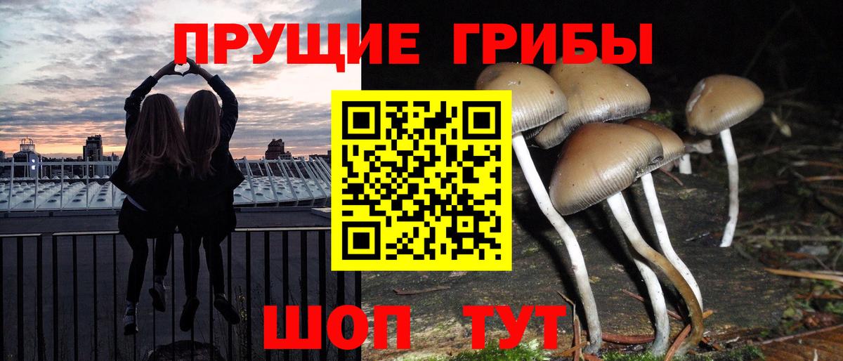 Выборг  Галлюциногенные грибы Magic Shrooms  Вход с VPN 