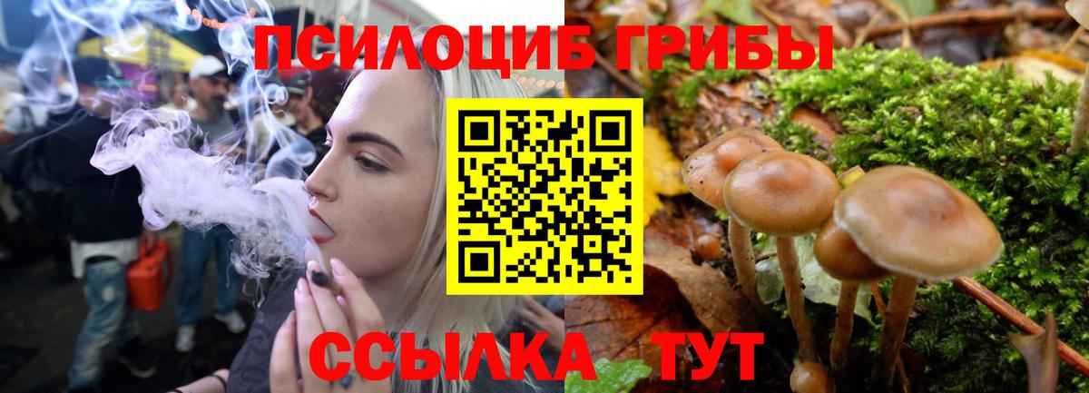 Галлюциногенные грибы мицелий  Выборг 